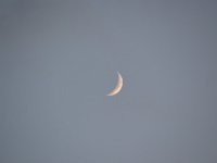 DSC 24577